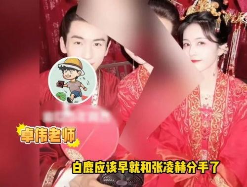 助力爆料白鹿视频大全,助力爆料，揭开神秘面纱  第2张